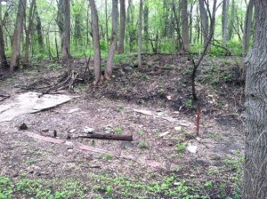 The foundation of a Pest House located in Hickory Hill Park, near the Black Angel.